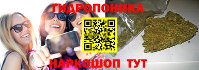 spice Кимры