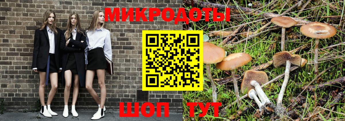 Галлюциногенные грибы прущие грибы  Псилоцибиновые грибы прущие грибы  Комсомольск-на-Амуре  Вход с VPN 